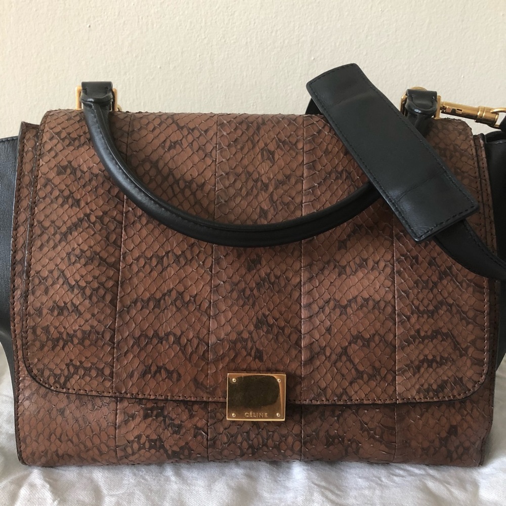 💫SOLD💫🎉🎊HOST PICK🎊🎉 Celine Trapeze Python - Picture 2 of 8